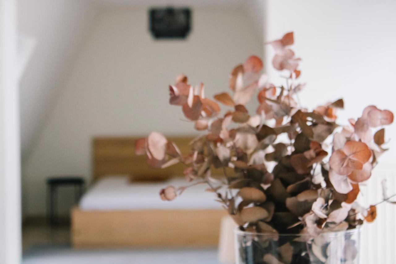 3 Bedroom, Kitchen, Wifi, Workspace, Coffee, Apartment Hasselt